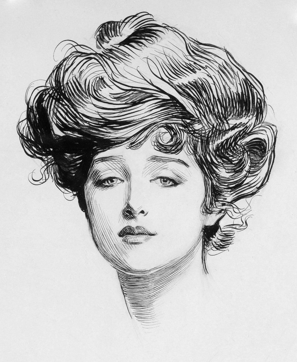 The Gibson Girl by Charles Dana Gibson